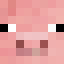 Nate SMP