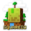 SquareIO