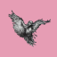 RavensTale