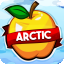 ArcticMC