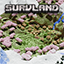 Survland II