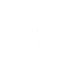 Magnaonirica