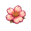 AshBlossom SMP