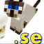 BrokenSurvival