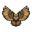 NightOwls