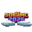 SoraMC