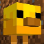 Protoxon