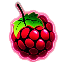 MCRaspi