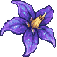 NightshadeSMP