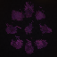 The Other SMP