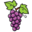Grape Survival