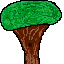 GeoSMP