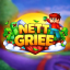 NettGrief