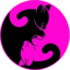 CatServer