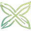 Xylon
