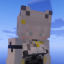 Skyfall Survival