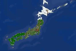 Скриншот сервера Майнкрафт «Nippon» №5