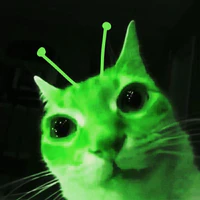 Kotoid