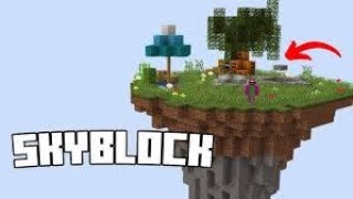 Hexnetwork Emek Skyblock Sunucu Tanıtımı