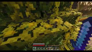 Checking out Ed's Classic SMP Minecraft Server - play.edsclassicsmp.com