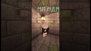 Я думал он шарит… #minecraft #майнкрафт #grief #memes