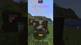 MastacBreeze SMP+