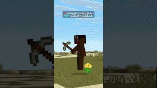 sad story minecraft
