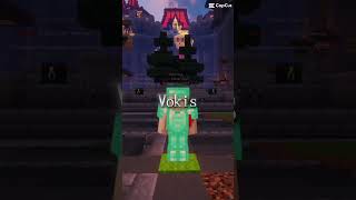 IP для пк: mc.vokis.ru IP для телефонов: mc.vokis.ru порт для телефонов - 31003