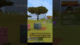 Забудь про скучные команды! 🛑 Уникальный приват блоками на Knowl ⚔️ #minecraft #майнкрафт