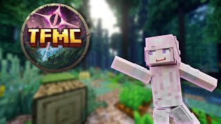 The Minecraft Roleplay Server You've Been Waiting For - TFMC