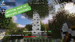 TNTcraft SMP: Tree cutting