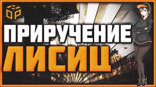 [OLDERS] ПРИРУЧЕНИЕ ЛИСИЦ